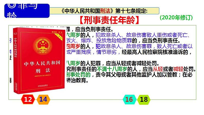 5.2 预防犯罪 课件-2024-2025学年统编版道德与法治八年级上册(1)第8页