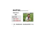 3.1 做有梦想的少年 同步课件-2024-2025学年道德与法治七年级上册 统编版 2024