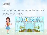 3.1 做有梦想的少年 课件-2024-2025学年统编版道德与法治七年级上册