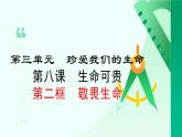 8.2 敬畏生命 课件-2024-2025学年统编版道德与法治七年级上册