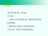 8.2 敬畏生命 课件-2024-2025学年统编版道德与法治七年级上册