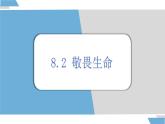 8.2 敬畏生命 课件-2024-2025学年统编版道德与法治七年级上册 (2)
