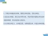 8.2 敬畏生命 课件-2024-2025学年统编版道德与法治七年级上册 (2)