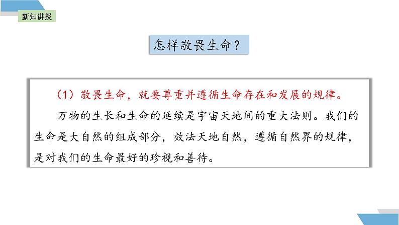 8.2 敬畏生命 课件-2024-2025学年统编版道德与法治七年级上册 (2)08