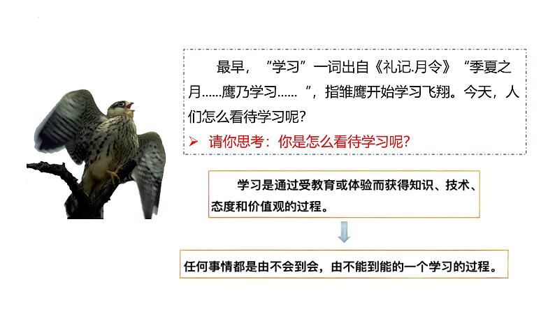 3.2 学习成就梦想 课件- 2024-2025学年统编版道德与法治七年级上册第6页