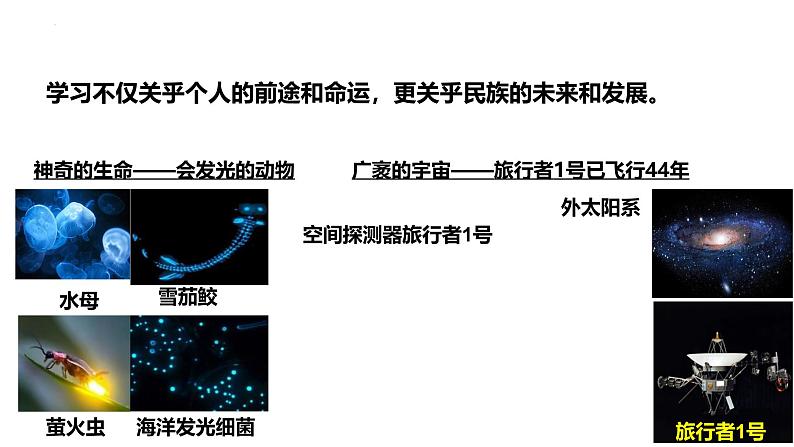 3.2 学习成就梦想 课件- 2024-2025学年统编版道德与法治七年级上册07