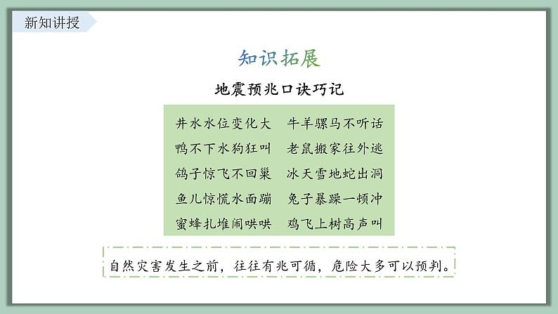 9.2 提高防护能力 课件-2024-2025学年统编版道德与法治七年级上册05