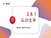 人教版（2024）七年级道法上册 第3章 3.8.1 认识生命 PPT课件+教案
