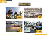 人教版（2024）八年级道法上册 第1章 1.1.1 我与社会 PPT课件+教案