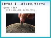 8.1  认识生命 【课件】2024-2025学年七年级上册道德与法治 统编版2024