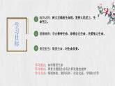 8.2 敬畏生命 【课件】2024-2025学年七年级上册道德与法治 统编版2024）