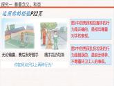 4.1 尊重他人 课件-2024- 2025学年统编版道德与法治八年级上册