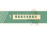 4.1尊重他人 课件-2024-2025学年统编版道德与法治八年级上册