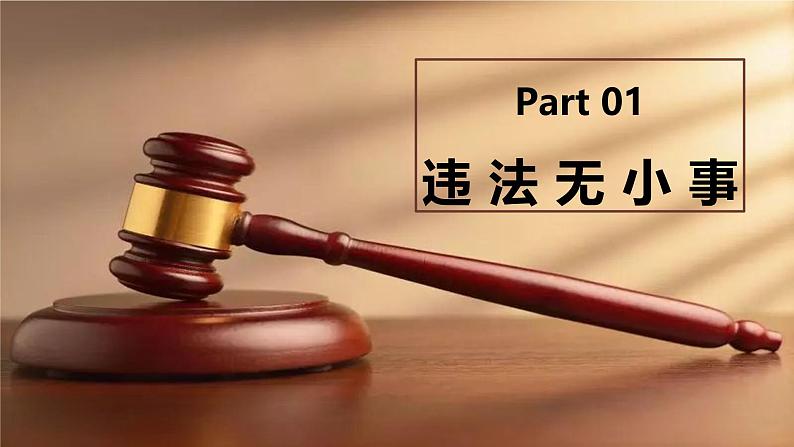 5.1 法不可违 课件-2024-2025学年统 编版道德与法治八年级上册02