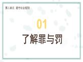 5.2 预防犯罪 课件- 2024-2025学年统编版道德与法治八年级上册