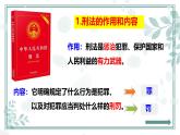 5.2 预防犯罪 课件- 2024-2025学年统编版道德与法治八年级上册
