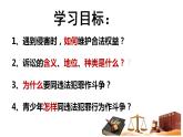 5.3 善用法律 课件-2024-2025 学年统编版道德与法治八年级上 册