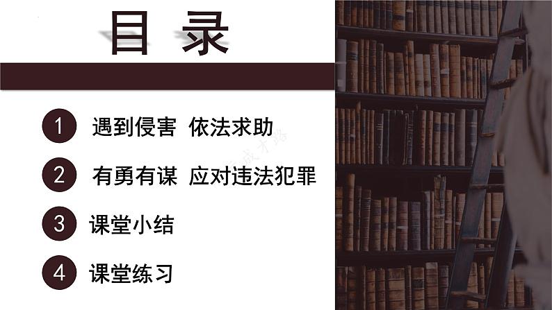 5.3 善用法律 课件-2024-2025学年统编版道 德与法治八年级上册第1页