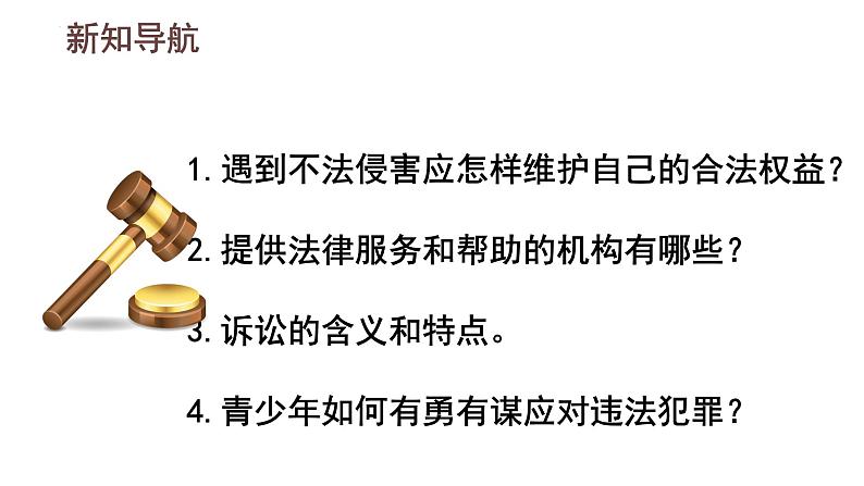 5.3 善用法律 课件-2024-2025学年统编版道 德与法治八年级上册第2页