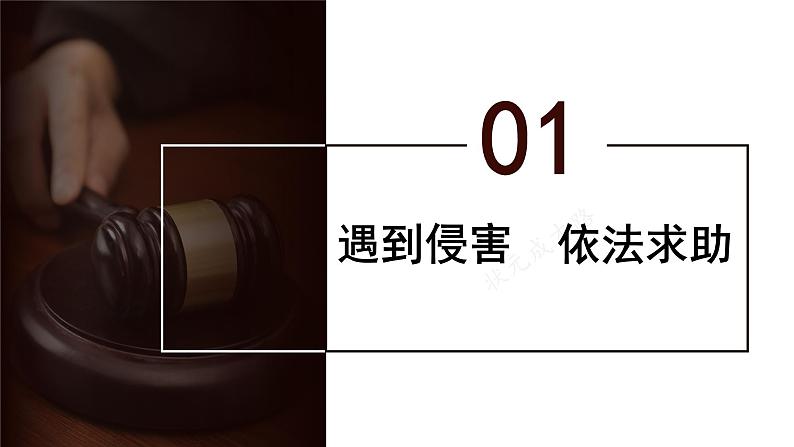 5.3 善用法律 课件-2024-2025学年统编版道 德与法治八年级上册第4页