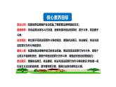 5.3 善用法律 课件-2024-2025学年统编版道与法治八年 级上册