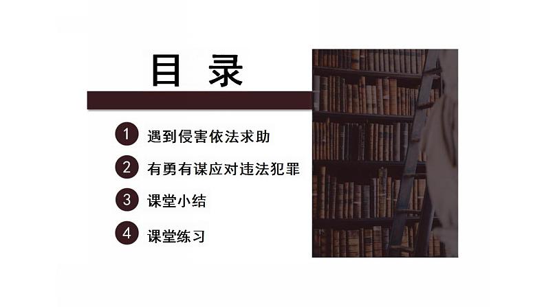 5.3 善用法律 课件-2024-2025学年统编版道德与法治八年级上 册04