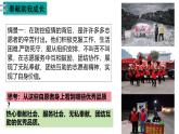 7.2 服务社会 课件-2024-2025学年统编版道德与法治八年级上册