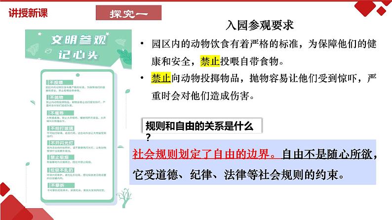 3.2 遵守规则-课件-2024-2025学年统编版道德与法治八年级上册05