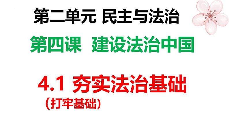 4.1 夯实法治基础 课件-2024-2025学年统编版道德与法治九年级上册01