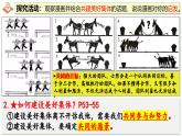 7.2 共建美好集体 课件-2024-2025学年统编版道德与法治七年级上册