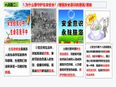 9.1 增强安全意识 课件-2024-2025学年统编版道德与 法治七年级上册