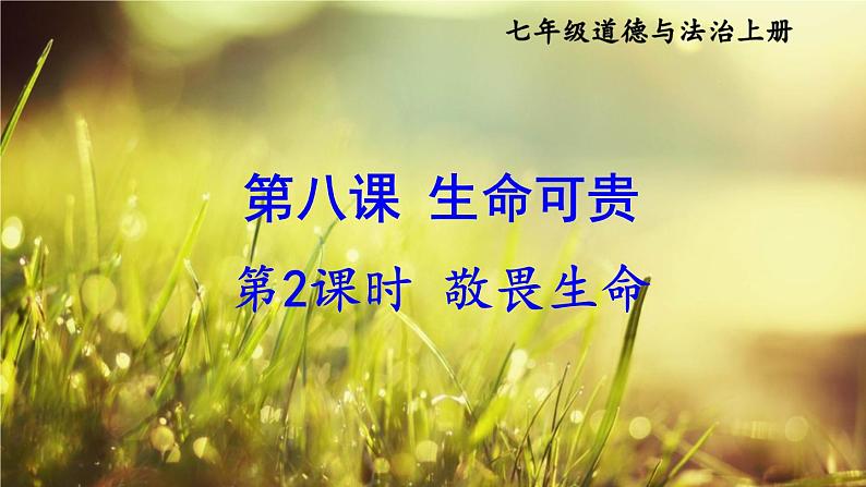 初中道德与法治新人教版七年级上册第三单元第8课第2课时《敬畏生命》教学课件（2024秋）02