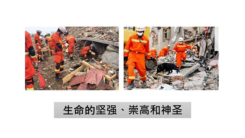 初中道德与法治新人教版七年级上册第三单元第8课第2课时《敬畏生命》教学课件（2024秋）05