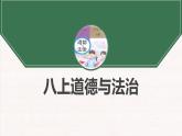 1.1 我与社会 课件-2024-2025学年统编版道德与法治 八年级上册