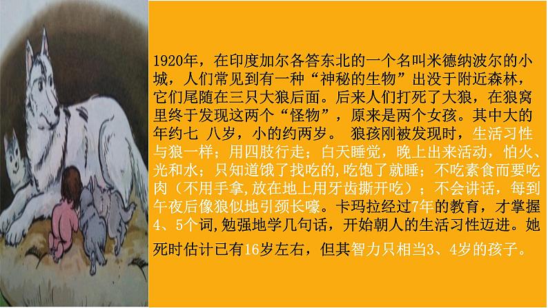 1.2 在社会中成长 课件-2024-2025学年统编版道德与法治八年级 上册06