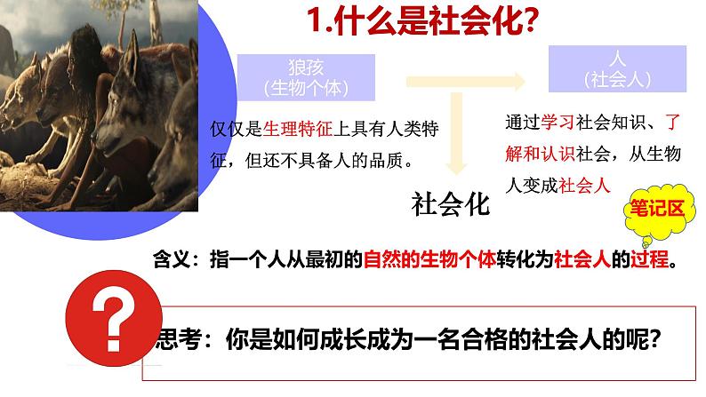 1.2 在社会中成长 课件-2024-2025学年统编版道德与法治八年级上 册06