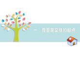 4.1 尊重他人 课件-2024-2025学年统编版道德与法治八年级上册