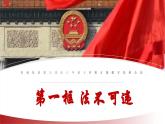 5.1 法不可违 课件- 2024-2025学年统编版道德与法治八年级上册