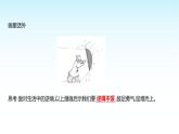 部编版七年级道德与法治上册第四单元第十二课第二框正确对待顺境和逆境课件