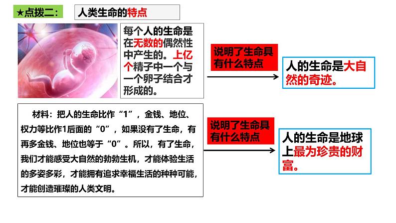 8.1 认识生命 课件-2024-2025学年统编版道德与法治七年级上册05