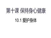 10.1 愛護(hù)身體 課件-2024-2025學(xué)年統(tǒng)編版道德與法治七年級(jí)上冊