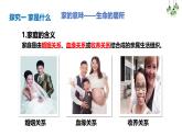 4.1 家的意味 课件-2024-2025学年统编版道德与法治七年级上册