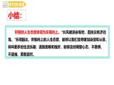 12.1 拥有积极的人生态度 课件-2024-2025学年统编版道德与法治七年级 上册
