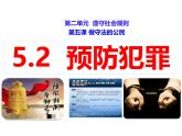 5.2 预防犯罪 课件- 2024-2025学年统编版道德与法治八年级上册