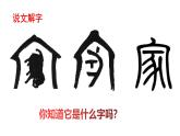4.1 家的意味  同步课件-2024-2025学年统编版道德与法治七年级上册