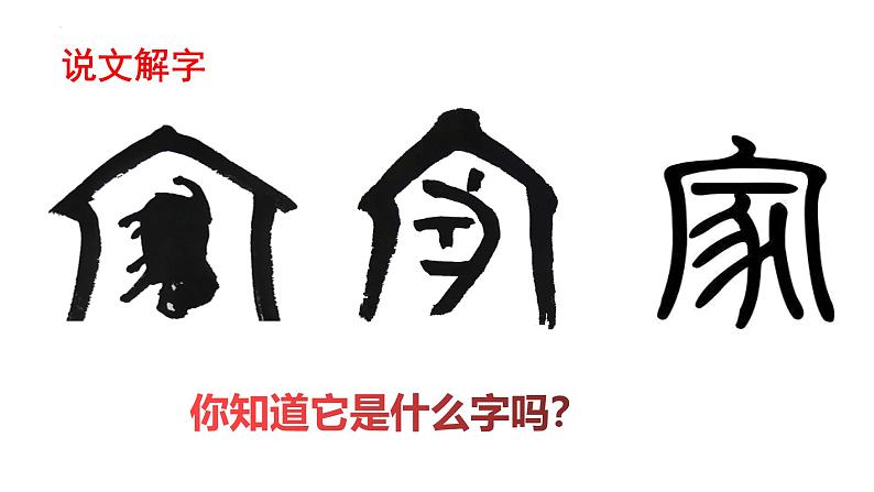 4.1 家的意味  同步课件-2024-2025学年统编版道德与法治七年级上册第1页
