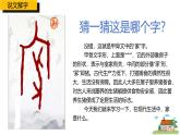 4.1 家的意味 同步课件-2024-2025学年统编版道德与法治七年级上册