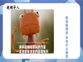 7.1集体生活成就我 道德与法治七年级上册同步课件（ 人教版2024）