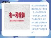 7.2共建美好集体 道德与法治七年级上册同步课件（ 人教版2024）