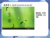 8.1认识生命 道德与法治七年级上册同步课件（ 人教版2024）